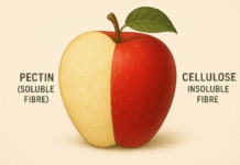 Steps Towards Long-Term Health & Well-being:Fibre in Modern Diet Fibre in Modern Diet